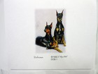 New Doberman Pinscher Magnetic Refrigerator Notepads Set Of 2 To Do Grocery List
