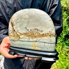 4 1lb  Rare National Treasure Fossil - Authentic Collectible Stone Specimen