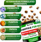 Probiotics For Dogs Digestive Enzymes For Good Health Itchy Skin 120 Chews Fit