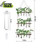 Wall Hanging Glass Test Tube Plant Propagation Station Wooden Stand Terrarium Se