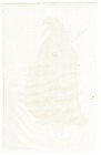 1856 Book Plate Illustration Of Wampanoag Indian Leader King Philip Aka Metacom