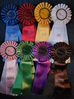 Virginia Culpeper  hits  Horse Show Ribbons Awards Equestrian Events