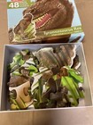 48 Piece Floor Puzzle Tyrannosaurus Rex Ages 3-up Melissa And Doug Complete