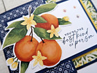 Stampin  Up  Card Kit - Citrus Blooms - All Inclusive Set Of 4 Cards