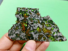 39 37 Gram - Admire Pallasite Meteorite - From Kansas  Usa - Translucent Slice 
