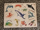 Quokka Wood Puzzles Set Of 3 Ocean Farm Wildlife Adult Child Toddler