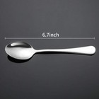 H e Teaspoons Spoons Silverware Premium Food Grade Stainless Steel  Silver