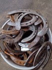 Horseshoes -40 Used Steel   Oklahoma Horseshoes - Horse Shoe -  Ships Fast 