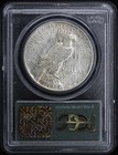 1926-s  1 Peace Dollar Pcgs Ms64 Ogh