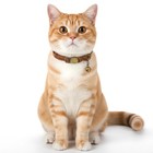 Dopenspi 2 Pcs Pu Leather Cat Collar Breakaway With Bell  Black   Brown