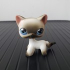 Littlest Pet Shop Lps  5 Black White Short Hair Siamese Cat Blue Eyes Kitty Gift