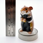 Hamsters Lunch Black-bellied Hamster  Bottle Cap Figure Japan Exclusive Kaiyodo