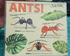 Box Of Ants Novelty Item By Archie Mcphee Approx 2 3 4 Inches Long 6 In Pack 