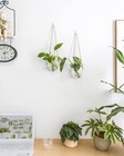 Ivolador Wall Hanging Glass Flower Plants Terrarium Container For Hydroponic    