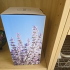 Brand New Young Living Essential Oil  Haven Ceramic Diffuser