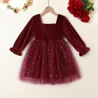 Tutu Dress Girls Long Sleeve Tulle Holiday Birthday Party Princess Dresses Fa   