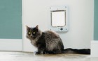 Microchip Activated Cat Flap  360  - Iso And Avid   Door For Entry Control Of   