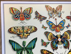 Grateful Dead   Company 2019 Summer Tour Wild Butterflies Poster Signed numbered