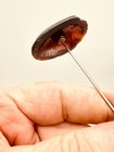 Very Rare Antique Hatpin Carnival Red Glass  scarab Shell  Excellent Collectible