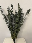 Preserved Dried Fragrant Baby Spiral Eucalyptus Branches About 20 Branches