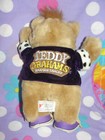 Vintage Teddy Grahams 10  Plush Teddy Bear W  Tags 1990 Applause