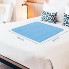 Bed Pads Washable Waterproof 34   X 36    pack Of 4  Underpads For Adults Blue