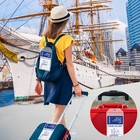 Cruise Luggage Tags-10pack Luggage Tags For Cruise Ships-cruise Tags Holders    