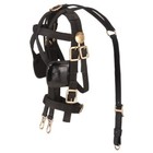 Nylon Harness Bridle - Black Leather - Brass Hardware - Miniature  Pony Or Horse