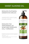 Velona Sweet Almond Oil - 16 Oz   100  Pure And Natural Carrier Oil   Refined   