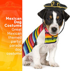Mexican Serape Dog Costume - Cinco De Mayo Poncho And Sombrero Costumes For Pets