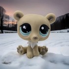  x5  Lps Littlest Pet Shop Bear Action Figures