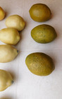 Realistic Faux Artificial Fake Citrus Fruit Lemons Limes Heavy Vintage Lot 12