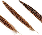 20pcs Female Pheasant Feather Natural Ringneck Tails Feathers 6-8inch 15-20cm Fo