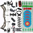 Archery Compound Bow Set 30-70lb Adjustable For Hunting Target Right Hand 310fps