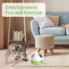 Toy Hide Mouse Cat Toy With Squeaky Mouse Electronic Automatic Cat Toys With Cat