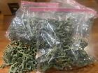 Original Tim Mee Plastics Vintage Lot Of 20 Army Green Soldiers 1960s-70s