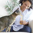 Inaba Churu Lickable Cat Treats Creamy Puree Chicken Variety 120 Tubes