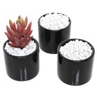 8-lbs White Synthetic River Pebbles Vase Fillers  Aquarium Gravel Fish Tank Rock