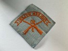 1st Battalion 10th Infantry Regiment Patch Us Army