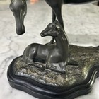 Horse   Colt Bronze Sculpture By Sp Pacific International