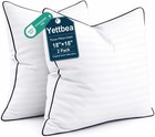 18x18 Inches Pillow Inserts Set Of 2-  Soft Down Alternative Fill  Decorative   