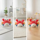 Musical Crawler Toy Cuddly Crawler Toy With Melodious Cuddly For Playroom