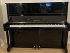 Drastically Reduced Yamaha U1  Piano 48  Ebony Polish  With Adjustable Bench