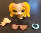 Littlest Pet Shop  Rare Cocker Spaniel With Bear Toy  Sun Glasses   Collar  79
