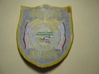 Carroll Township  Ohio  4 75  Police Shoulder Patch Free Shipping