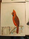 Antique Vintage Ephemera 1800 Lot Illus Singer Sewing Machine Bird Trade Cards