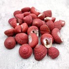Strawberry Top Red Seashells Clanculus Puniceus  5 Shells Approx  0 5  Inches 
