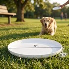 9  Diameter Premium Indoor   Outdoor Flying Disc Frisbee