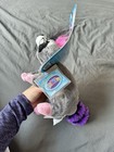 Raccoon Full Size Webkinz With Sealed Unused Code New Mwmt Vintage