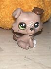 Littlest Pet Shop  lps  Custom Ooak Brown Puppy